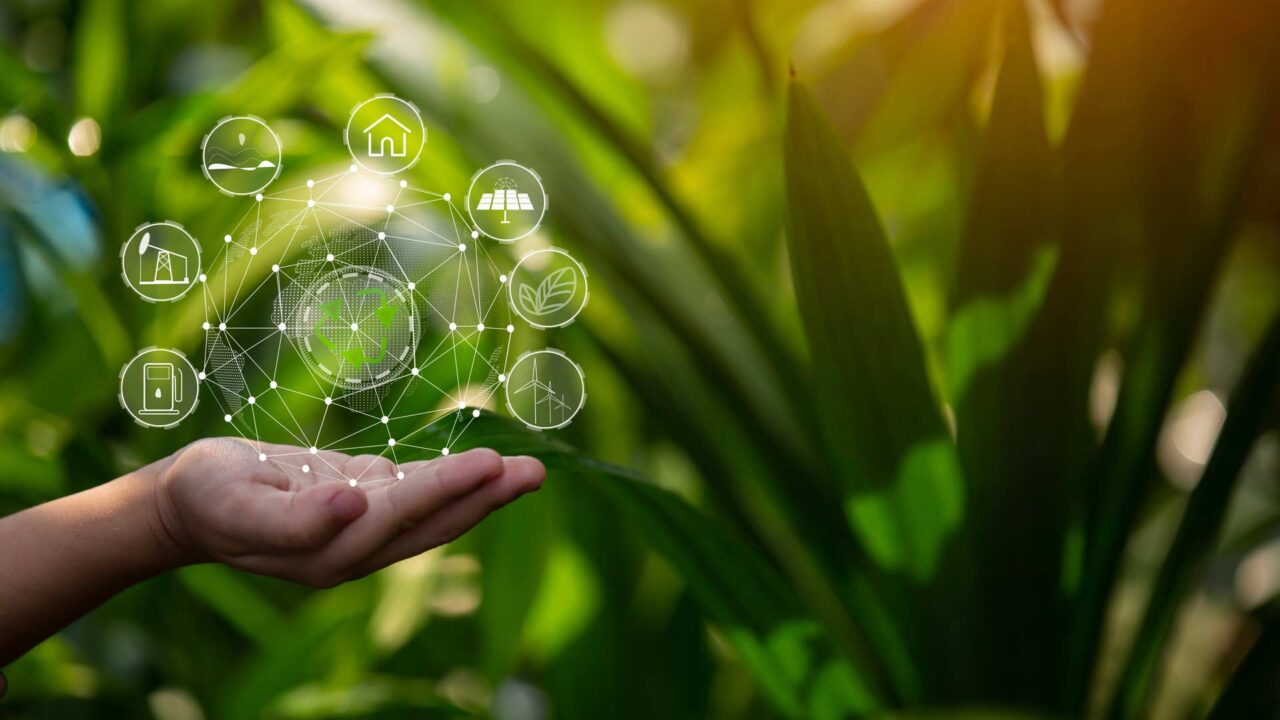 green software – 2 Different Best Perspectives